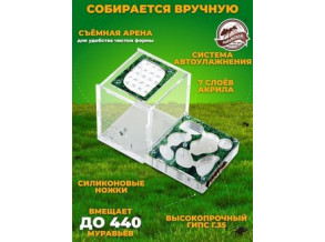 Муравьиная ферма с муравьями, формикарий 8,5*9,4*15,5