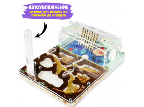 Муравьиная ферма, формикарий среднего розмера 14*19*55 см