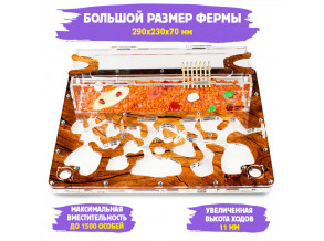 Муравьиная ферма макси «Дерево», 29*23*7