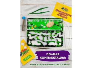 Муравьиная ферма с муравьями, формикарий, большая 19,5*24,5,5,3 см