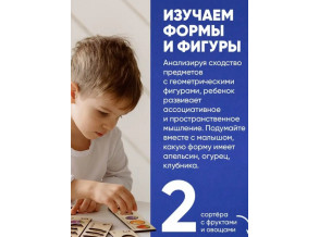 Деревянный развивающий сортер «Умный сундучок Монтессори Фрукты овощи», развивающая игра для детей от 1,5 до 5 лет, ChiDe