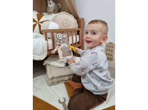 Манипуляционная доска Woobiboo Wally, 40 х 27 см, ChiDe