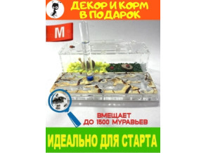 Муравьиная ферма 8*15*20см Увлекательное занятие для детей. Цвет камень. Ферма для муравьев