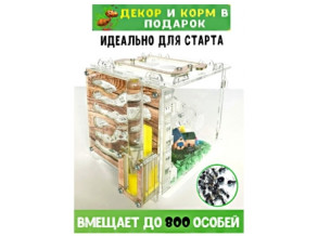 Муравьиная ферма 15*15*13см Увлекательное занятие для детей. Цвет дерева. Ферма для муравьев