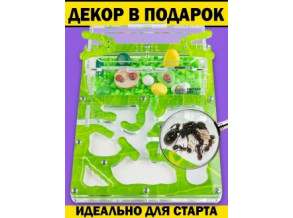 Муравьиная ферма 5*19*14. Цвет зеленый лист. Формикарий. Комплект