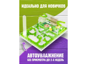 Муравьиная ферма 5*19*14. Цвет зеленый лист. Формикарий. Комплект
