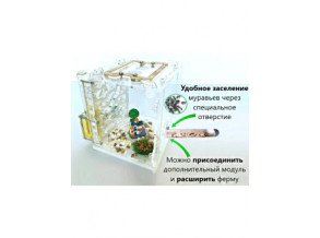 Муравьиная ферма 15*15*13см Увлекательное занятие для детей. Цвет дерева. Ферма для муравьев