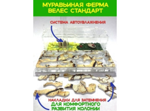 Муравьиная ферма 8*15*20см Увлекательное занятие для детей. Цвет камень. Ферма для муравьев