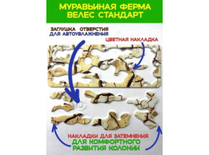 Муравьиная ферма 8*15*20см Увлекательное занятие для детей. Цвет камень. Ферма для муравьев