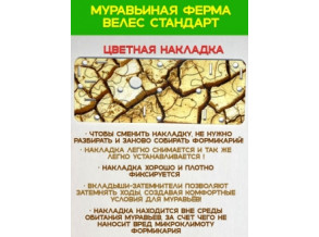 Муравьиная ферма 8*15*20см Увлекательное занятие для детей. Цвет камень. Ферма для муравьев