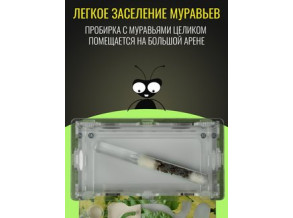 Муравьиная ферма 21*20. Стартовый набор. Интересное занятие для детей. Формикарий. Комплект