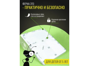 Муравьиная ферма 21*20. Стартовый набор. Интересное занятие для детей. Формикарий. Комплект
