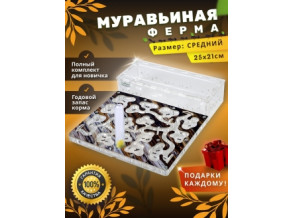 Муравьиная ферма горизонтальная 25*21 см. Комплект среднего размера. Стартовый набор. Формикарий
