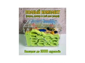 Муравьиная ферма, вертикальная 13*11*19 см. Большой комплект. Стартовый комплект. Формикарий