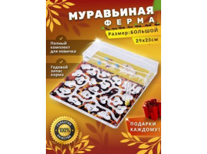 Муравьиная ферма горизонтальная 29*25 см. Большой комплект. Стартовый набор. Формикарий