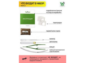 Муравьиная ферма горизонтальная 29*25 см. Большой комплект. Стартовый набор. Формикарий