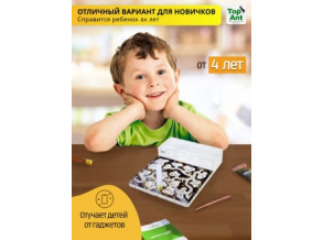 Муравьиная ферма горизонтальная 25*21 см. Комплект среднего размера. Стартовый набор. Формикарий