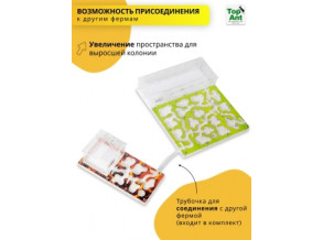 Муравьиная ферма горизонтальная 25*21 см. Комплект среднего размера. Стартовый набор. Формикарий