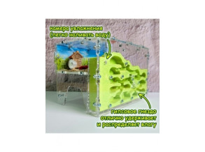 Муравьиная ферма, вертикальная 13*11*19 см. Большой комплект. Стартовый комплект. Формикарий
