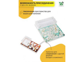 Муравьиная ферма горизонтальная 29*25 см. Большой комплект. Стартовый набор. Формикарий