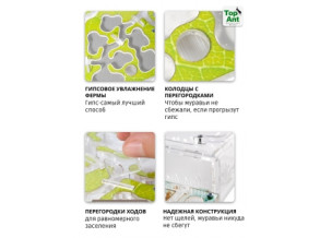 Муравьиная ферма горизонтальная 25*21 см. Комплект среднего размера. Стартовый набор. Формикарий