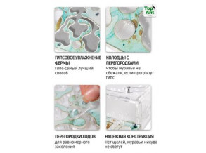 Муравьиная ферма горизонтальная 29*25 см. Большой комплект. Стартовый набор. Формикарий