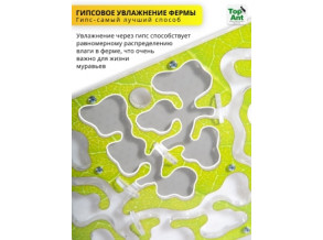 Муравьиная ферма горизонтальная 25*21 см. Комплект среднего размера. Стартовый набор. Формикарий