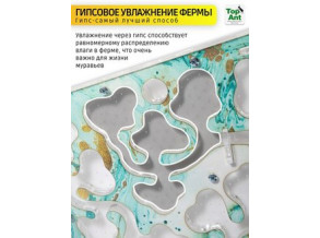 Муравьиная ферма горизонтальная 29*25 см. Большой комплект. Стартовый набор. Формикарий