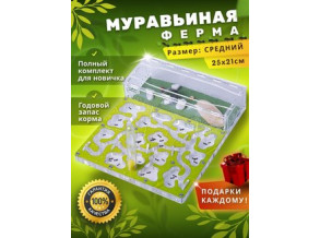 Муравьиная ферма 25*21*5 см.  Муравьиный дом средний. Формикарий.	Увлекательная игра для детей.