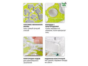 Муравьиная ферма 25*21*5 см.  Муравьиный дом средний. Формикарий.	Увлекательная игра для детей.