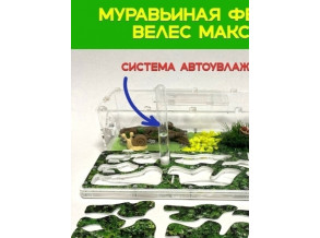 Муравьиная ферма «Мох» 