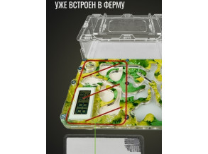Муравьиная ферма «Листья» 