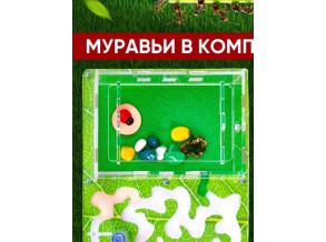Муравьиная ферма «Листья» 