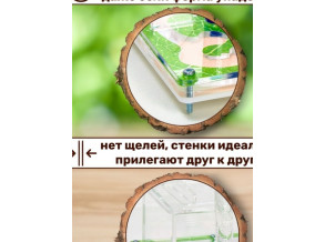 Муравьиная ферма «Листья» 