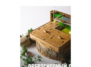 Муравьиная ферма «Древесина» 