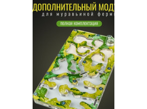 Муравьиная ферма «Зелень» 