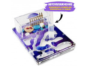 Муравьиная ферма стартовоя «Космос»