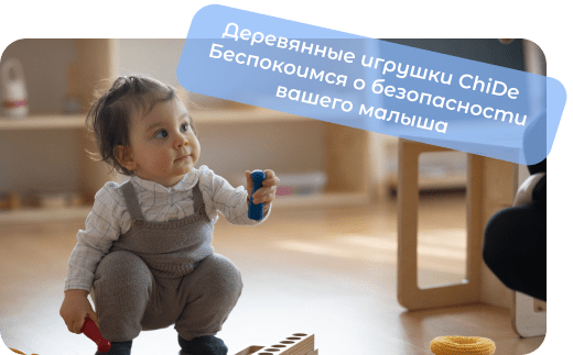 деревянные развивающие игрушки chide