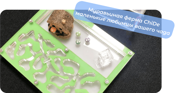 формикарий купить chide