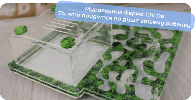 купить муравьиную ферму chide