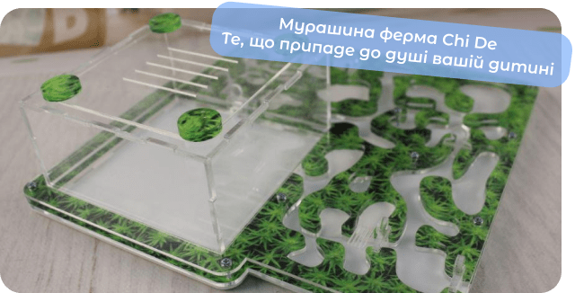 купити мурашину ферму chide
