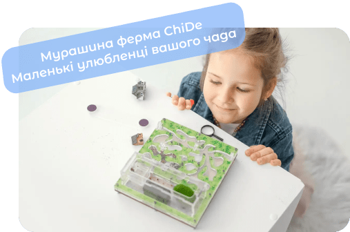 купити мурашину ферму chide
