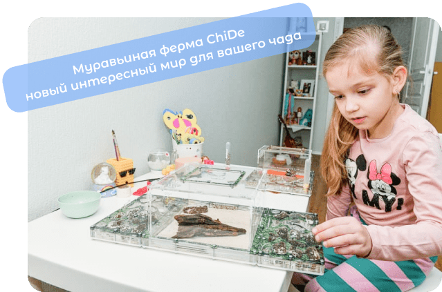 муравьиная ферма для детей