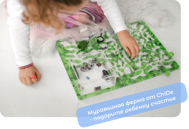 муравьиная ферма с муравьями