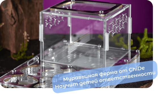 муравьиная ферма купить chide